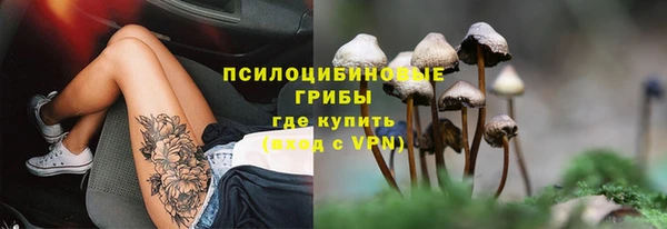 дмт Липки