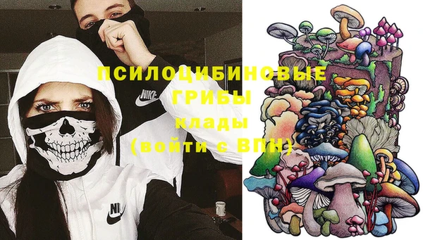 дмт Липки