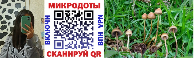 Псилоцибиновые грибы Psilocybine cubensis kraken онион Елизаветинская